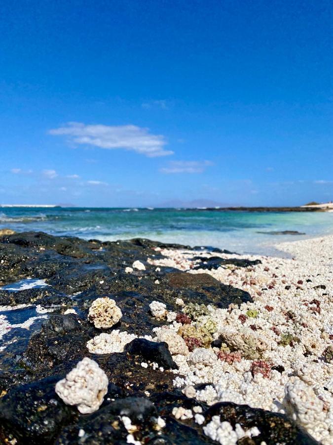 Apartamento San Valentin, Corralejo Lägenhet Exteriör bild